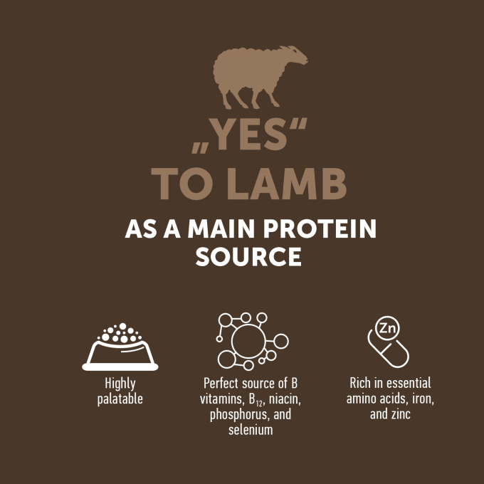 сухой беззерновой корм для взрослых собак всех пород - 4
