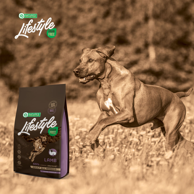 dry grain free food for adult dogs of all breeds - 6