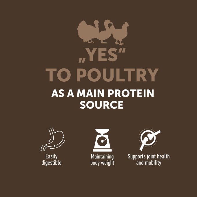droogvoer zonder granen voor volwassen honden van alle rassen met gevogelte - 3