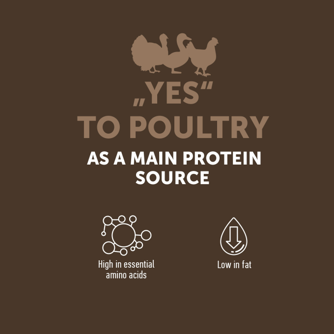 droogvoer zonder granen voor volwassen honden van alle rassen met gevogelte - 4