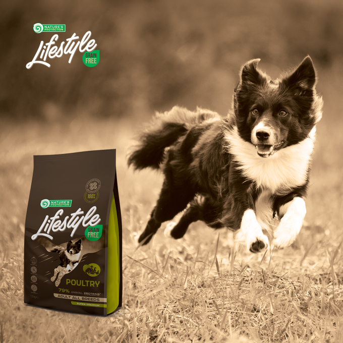 droogvoer zonder granen voor volwassen honden van alle rassen met gevogelte - 7