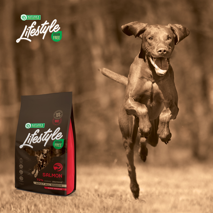 aliment sec sans céréales pour chiens adultes de toutes races avec saumon - 8