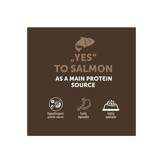 dry grain free food for senior cats with salmon - 2