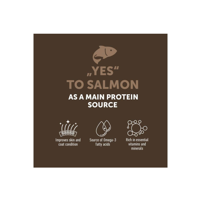 dry grain free food for senior cats with salmon - 3