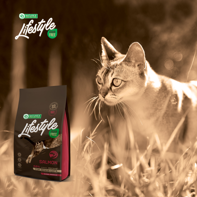 cibo secco grain free per gatti anziani con salmone - 2