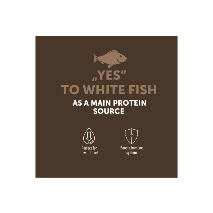 dry grain free food for adult cats with white fish after sterilisation - 2