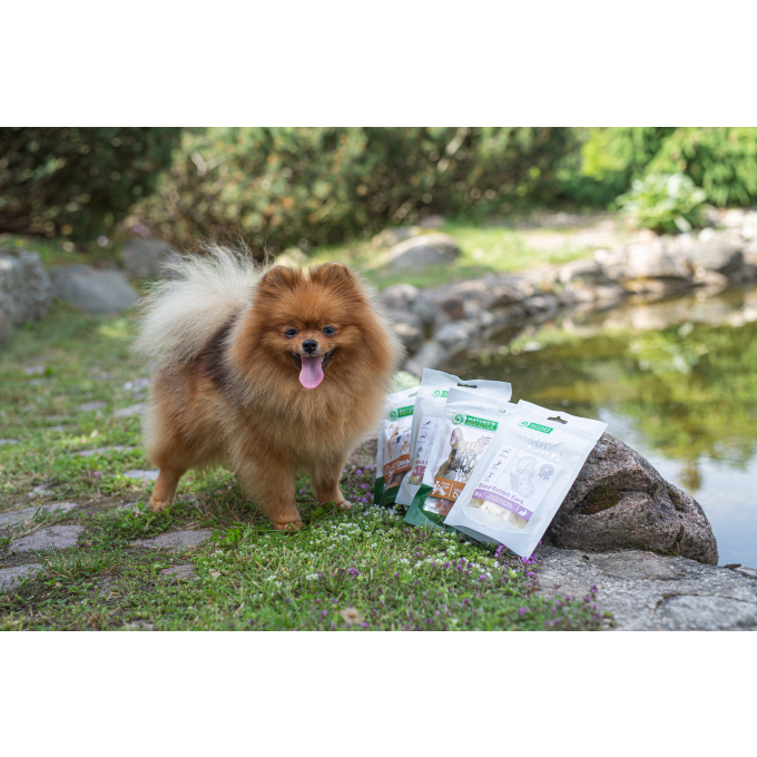 snacks para perros suaves lonchas de pato - 1