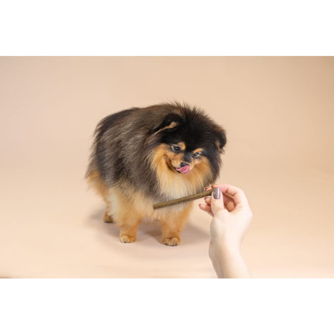 mangime complementare senza cereali - snack per cani giovani con salmone - 3