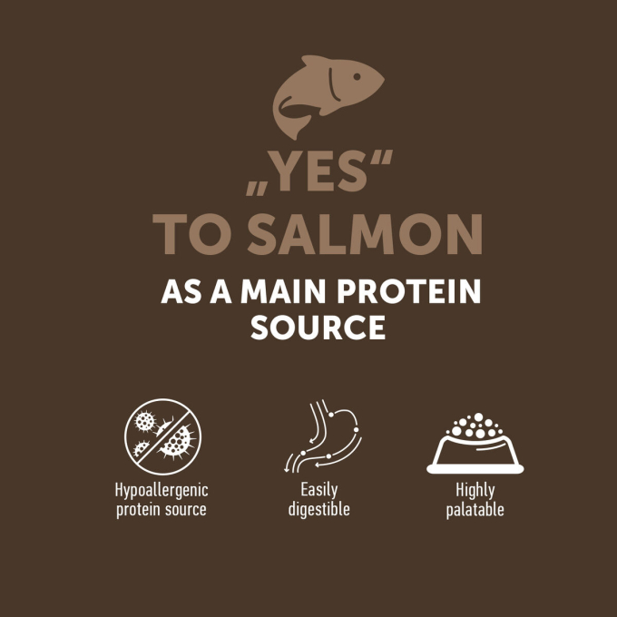 complementary grain free feed – snacks for junior dogs with salmon - 1