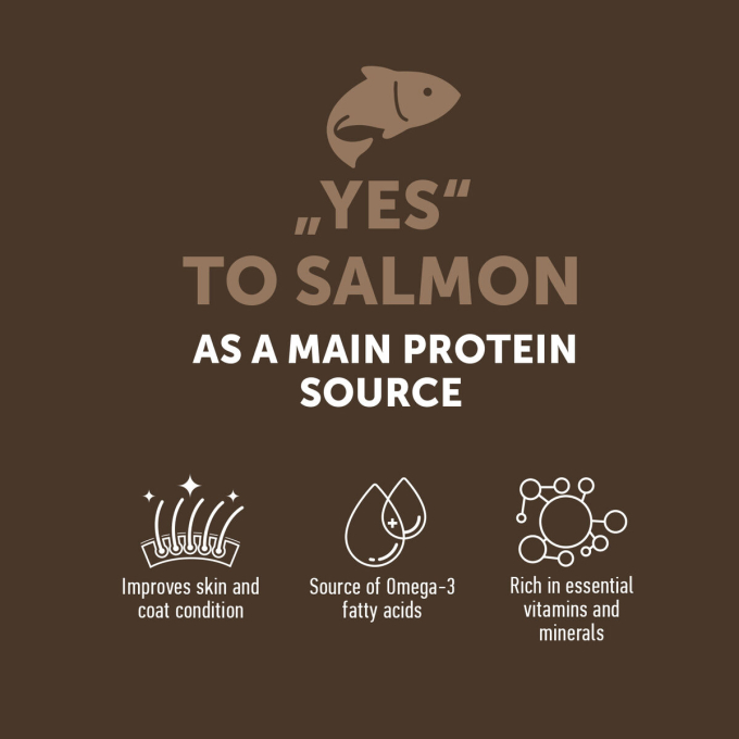 complementary grain free feed – snacks for junior dogs with salmon - 2