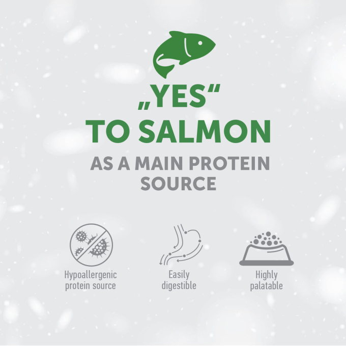 complementary grain free feed – snacks for adult dogs of all breeds with red coat with salmon - 1