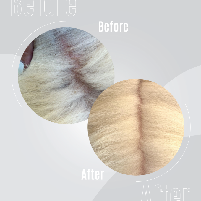 Pure Nature Nourishing Elixir No. 1 - 5