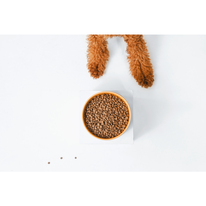 Red Coat Grain Free Salmon Adult Small Breed pienso seco para perros - 3