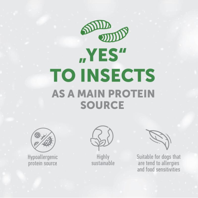 complementary grain free feed - snacks for free gums and oral care with insects for junior all breed dogs with red coat - 9