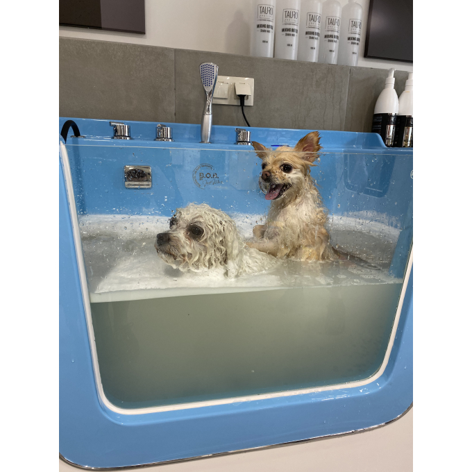 Ozone bath for pets , with MILK SPA program, IONIC technology - 3