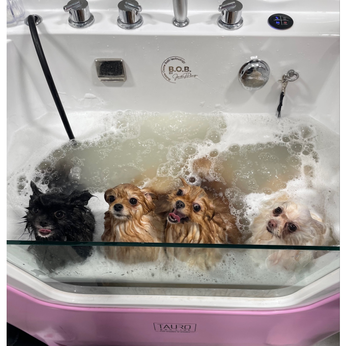 Ozone bath for pets , with MILK SPA program, IONIC technology - 3