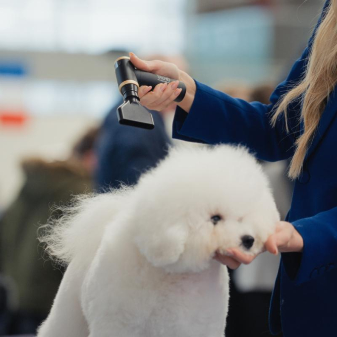 pet coat mini dryer - 1