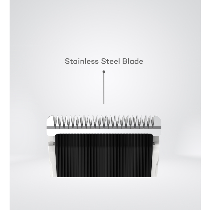 interchangeable head - 2