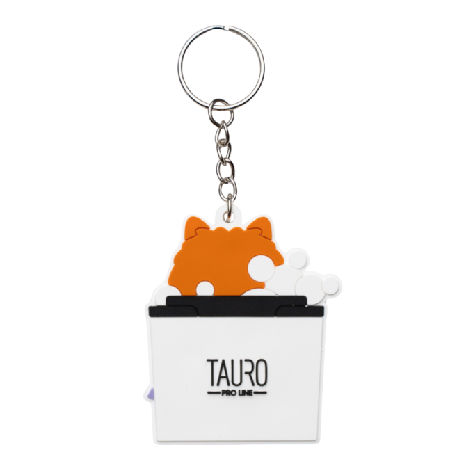 keychain - 1