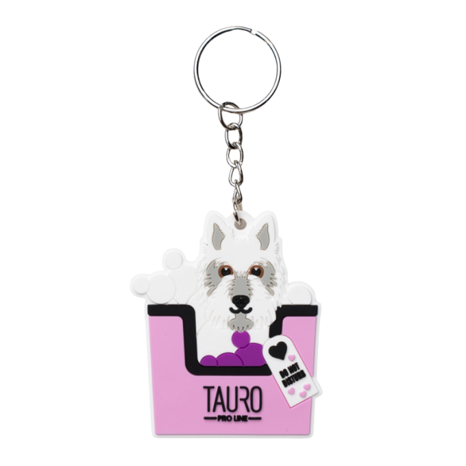 keychain - 0