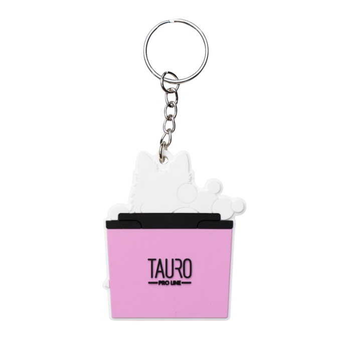keychain - 1