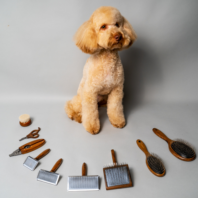 Brush with metal rim, teeth 11 mm - 10