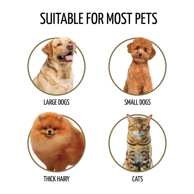 Brush, beech wood, 16 mm boar bristles with nylon teeth, black, oval shape - 6