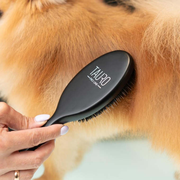 Кисть, древесина бука, щетина кабана 16 мм с нейлоновыми зубцами, черная, форма ова - 5