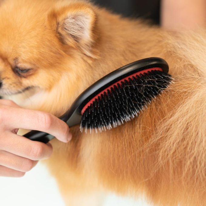 Кисть, древесина бука, щетина кабана 16 мм с нейлоновыми зубцами, черная, форма ова - 4