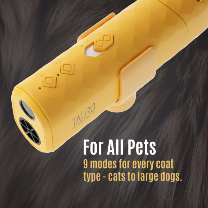 universal pet hair dryer with a flexible neck attachment system - 3