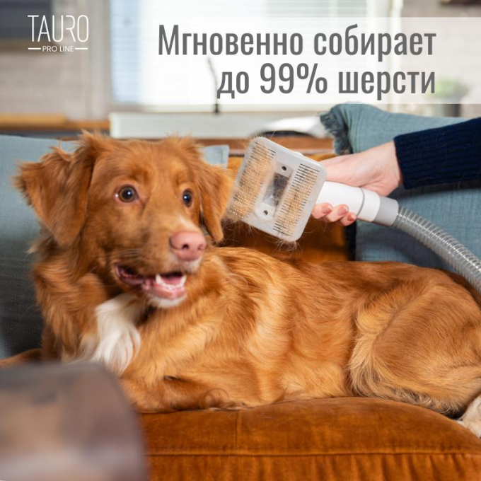 набор для ухода за животными 7 в 1 с пылесосом для шерсти домашних животных - 9