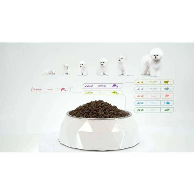 snacks with salmon for adult dogs with white and light coat - 6