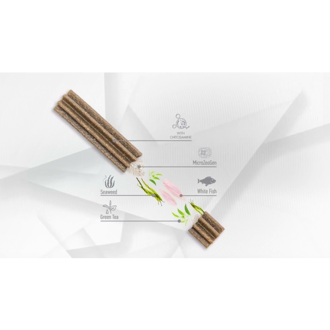 complementary grain free feed – snacks for adult dogs of all breeds with red coat with salmon - 6