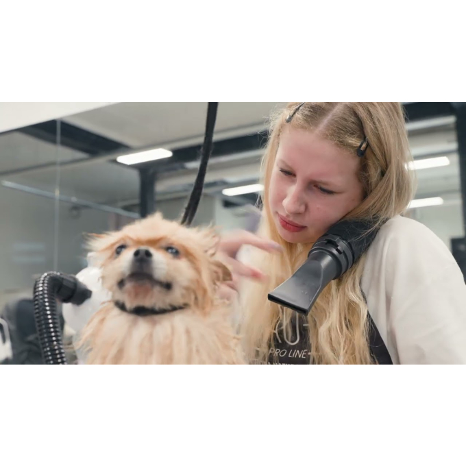 smart pet dryer - 6