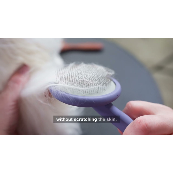 Brush round, 9 x 19 cm - 8