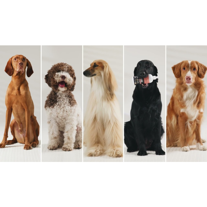 cordless pet coat straightener with negative ion technology - 6